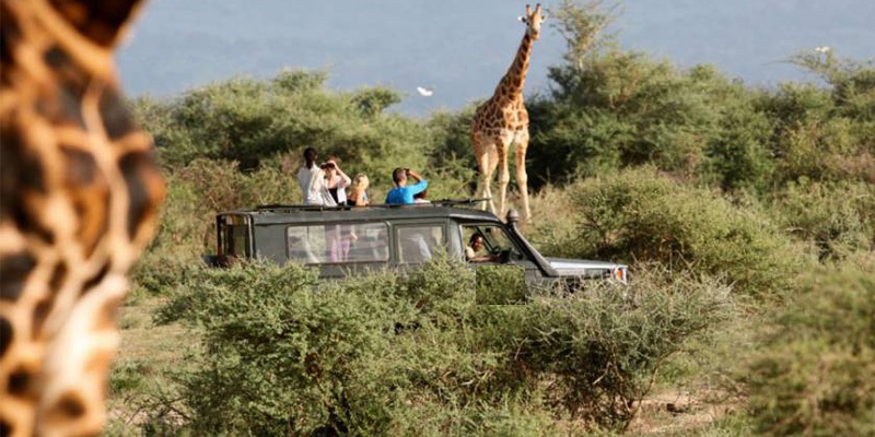 Akagera National Park Rwanda