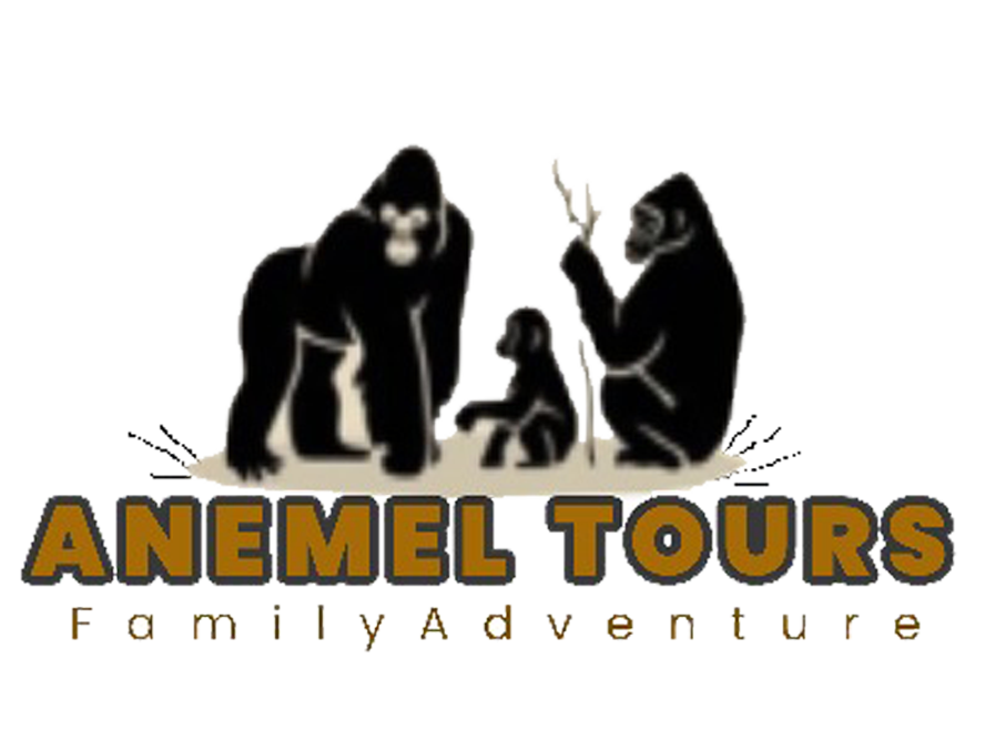 Anemel-logo 2