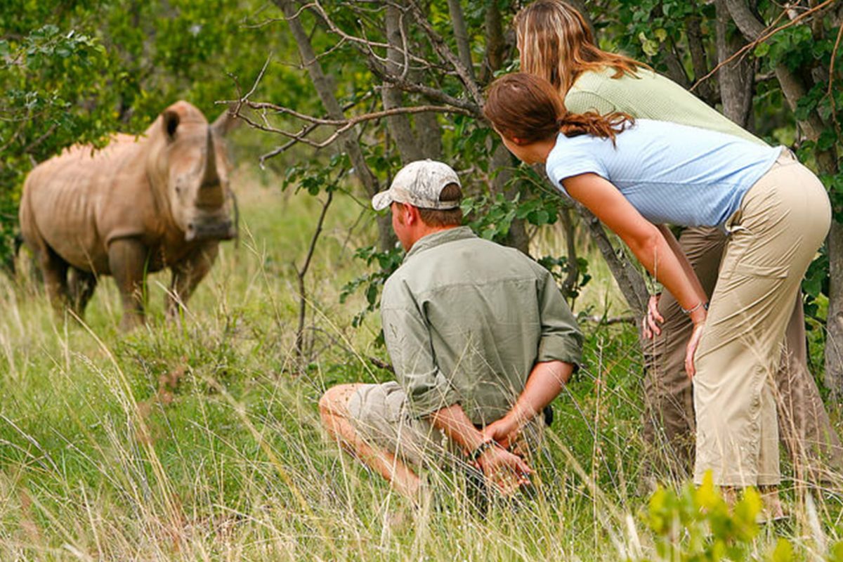 Uganda and Rwanda Safari Tours